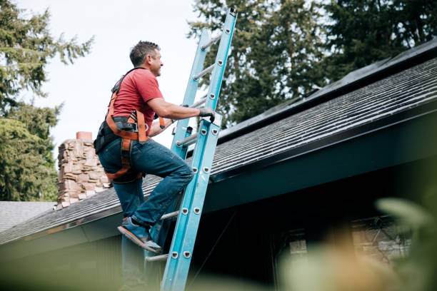 Best Skylight Installation and Repair  in Jenkintown, PA